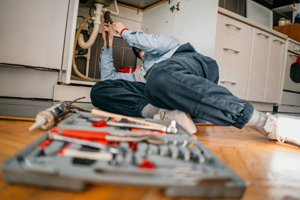 Best Plumbing Services Near Me  in Reedsburg, WI